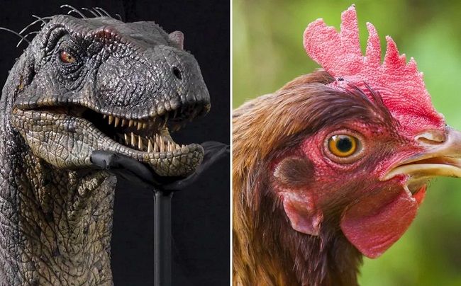 Closest Dinosaur Relative