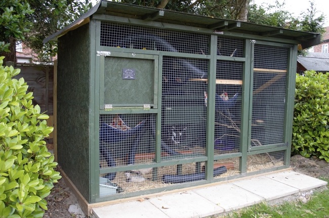 Ferret Cage DIY
