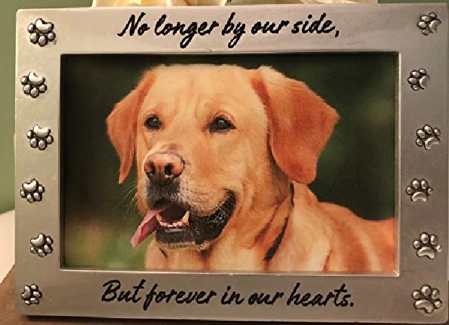 Gift For Loss of Dog